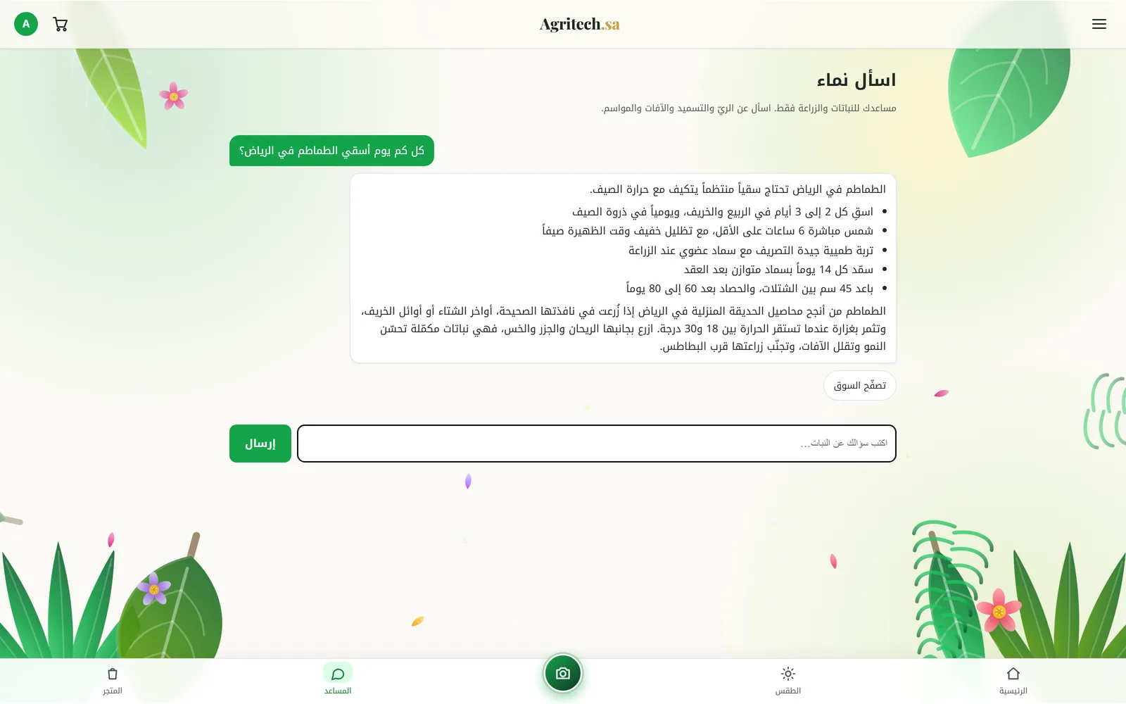 Saqi Nama assistant answering a watering question about tomatoes in Riyadh, in Arabic